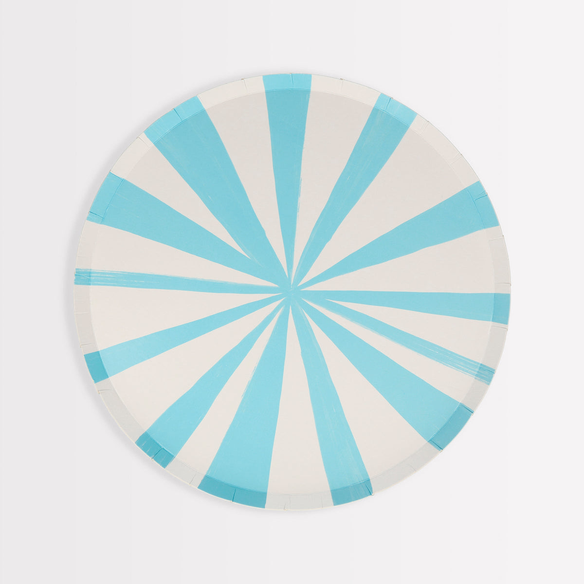 Thick and Thin Blue and White Stripes Paper Plates