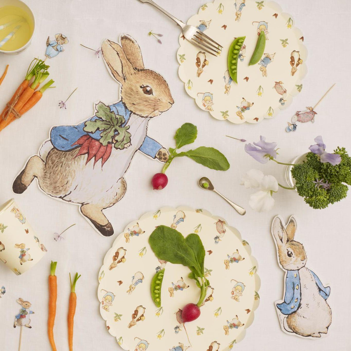 Peter Rabbit Party Plates Peter Rabbit Party Supplies & Decorations | Meri Meri
