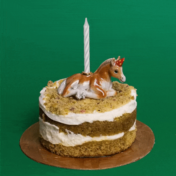 Year of the Horse Cake Topper