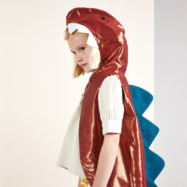 Dinosaur Costume Image6