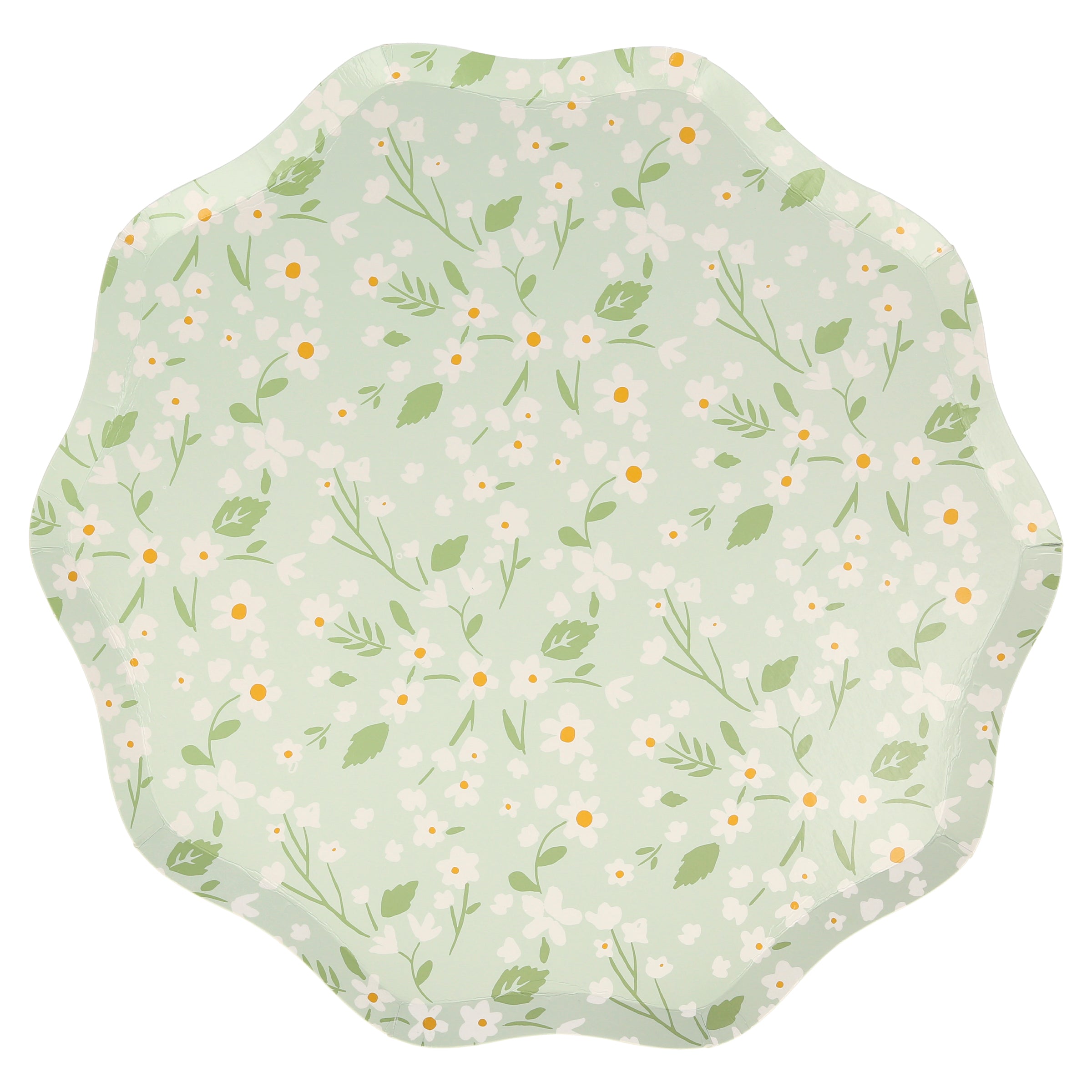 Floral Paper Plates 12 (4 Pack) – Deer Creek Mercantile