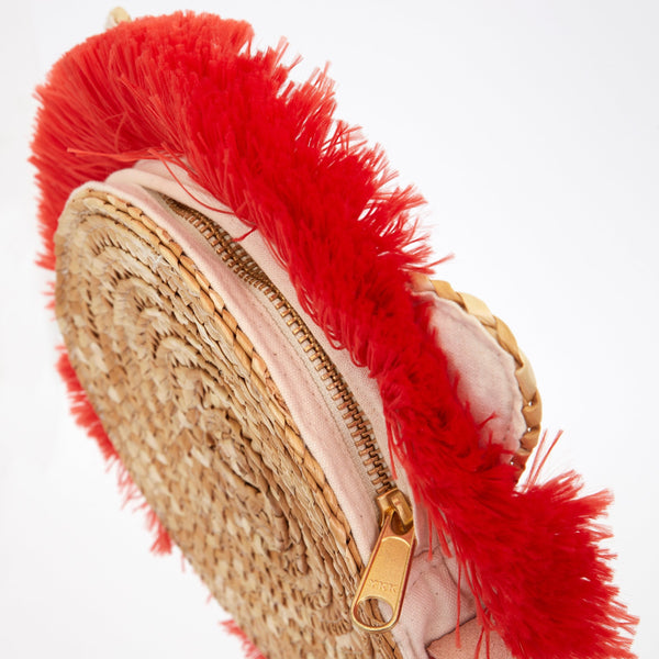 Lion Cross Body Straw Bag Image5