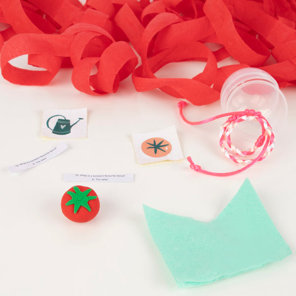 Give your party guests a surprise with our vegetable party favors filled with friendship bracelets, stickers, jokes and a party hat. Image4
