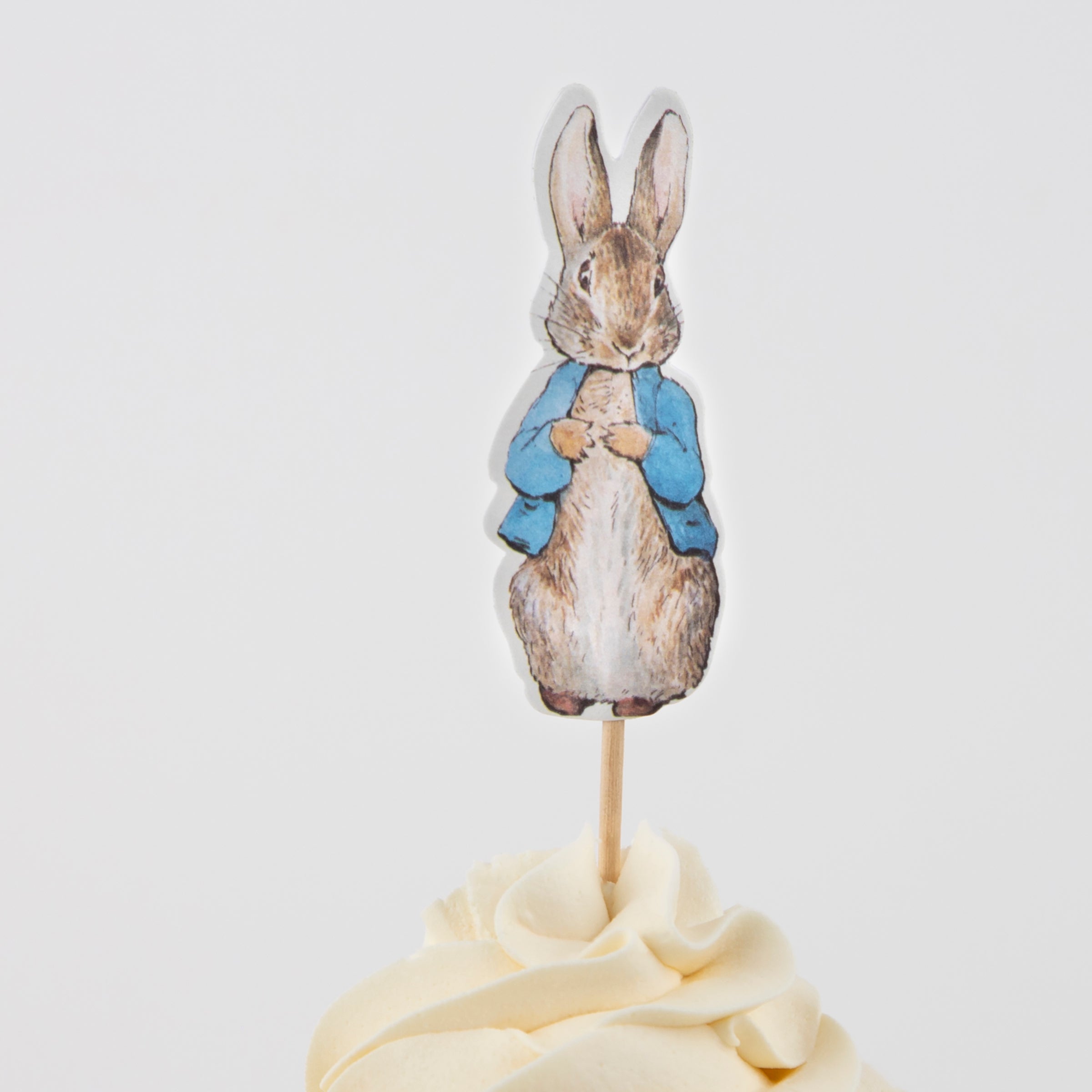 Our cupcake decorating kit includes Peter Rabbit and frienda cupcake toppers and green gingham cupcake cases.
