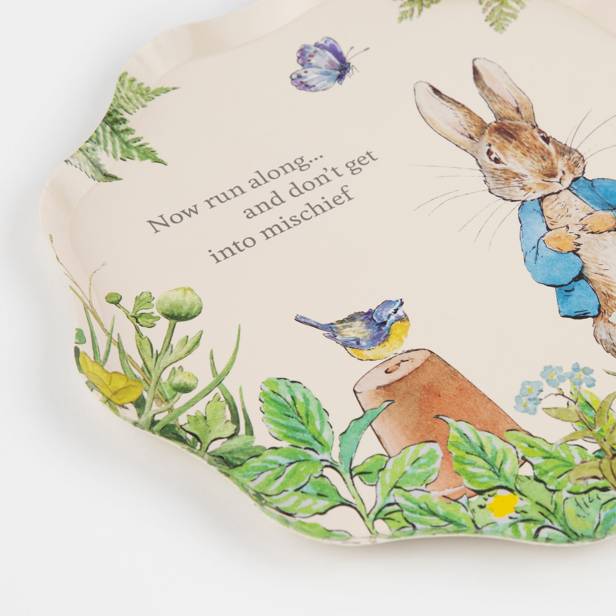 Peter Rabbit Plates – Meri Meri