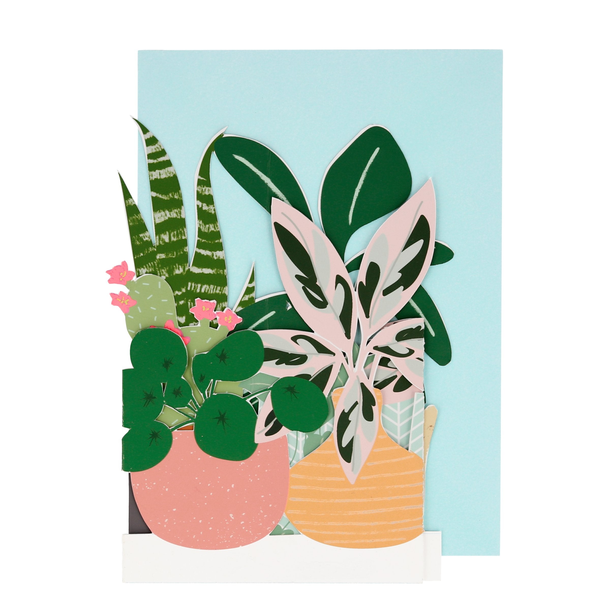 Send a message of your choice, in our blank card that opens up, to a special someone who loves plants.