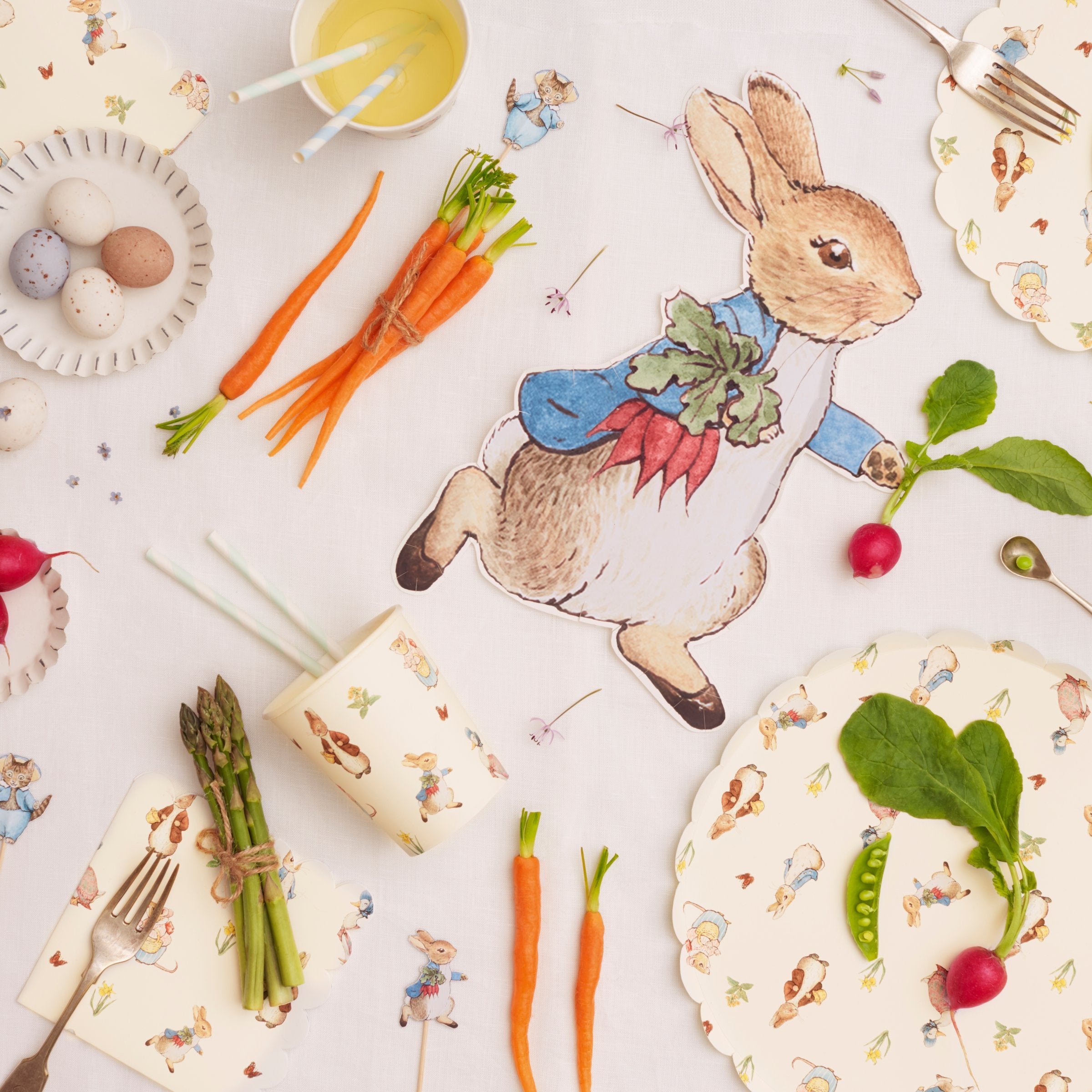 Meri Meri Peter Rabbit Party Supplies Baby Shower, Birthday Party