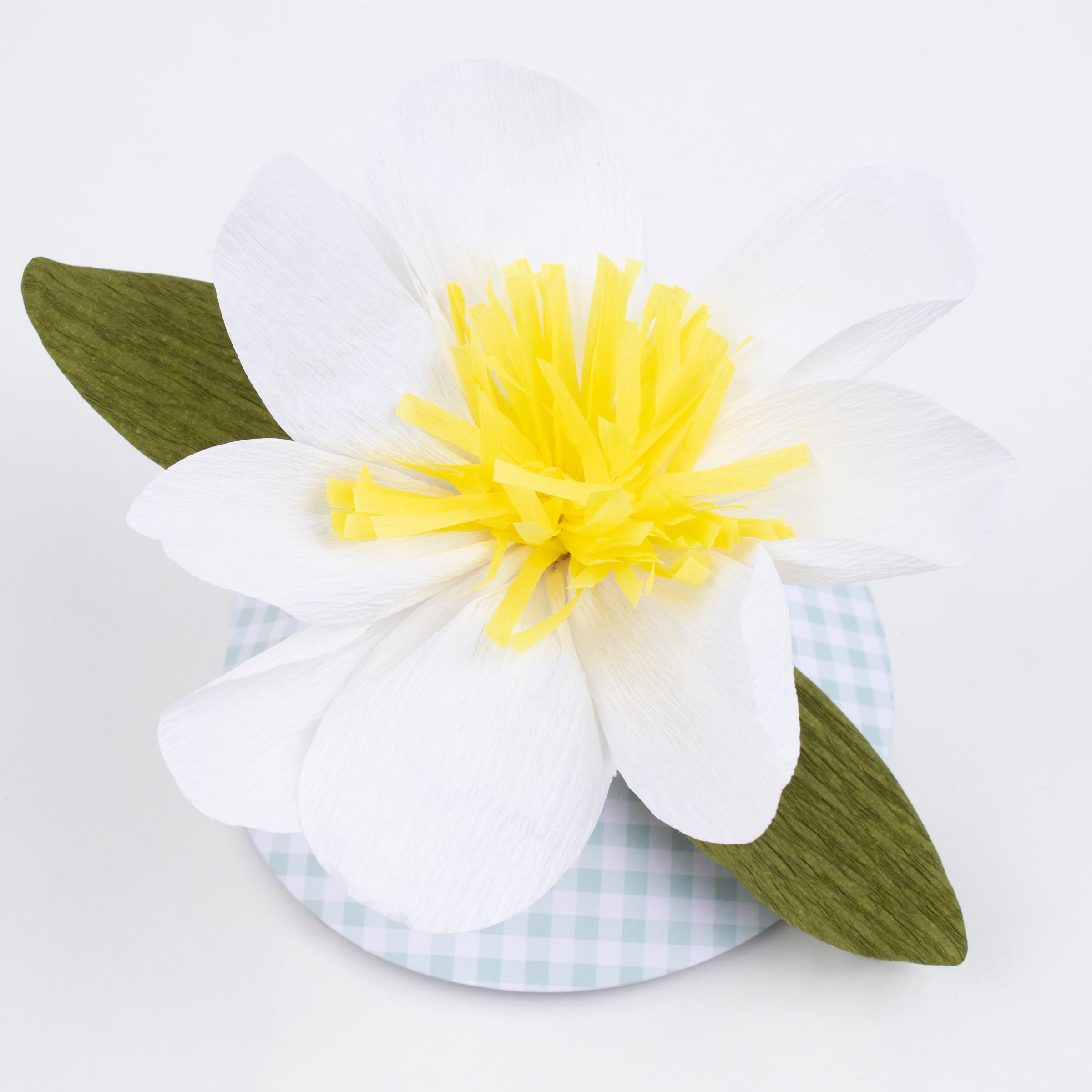 Our fabulous paper hats, with a large flower design and on trend green gingham details, are the perfect kids party hats.