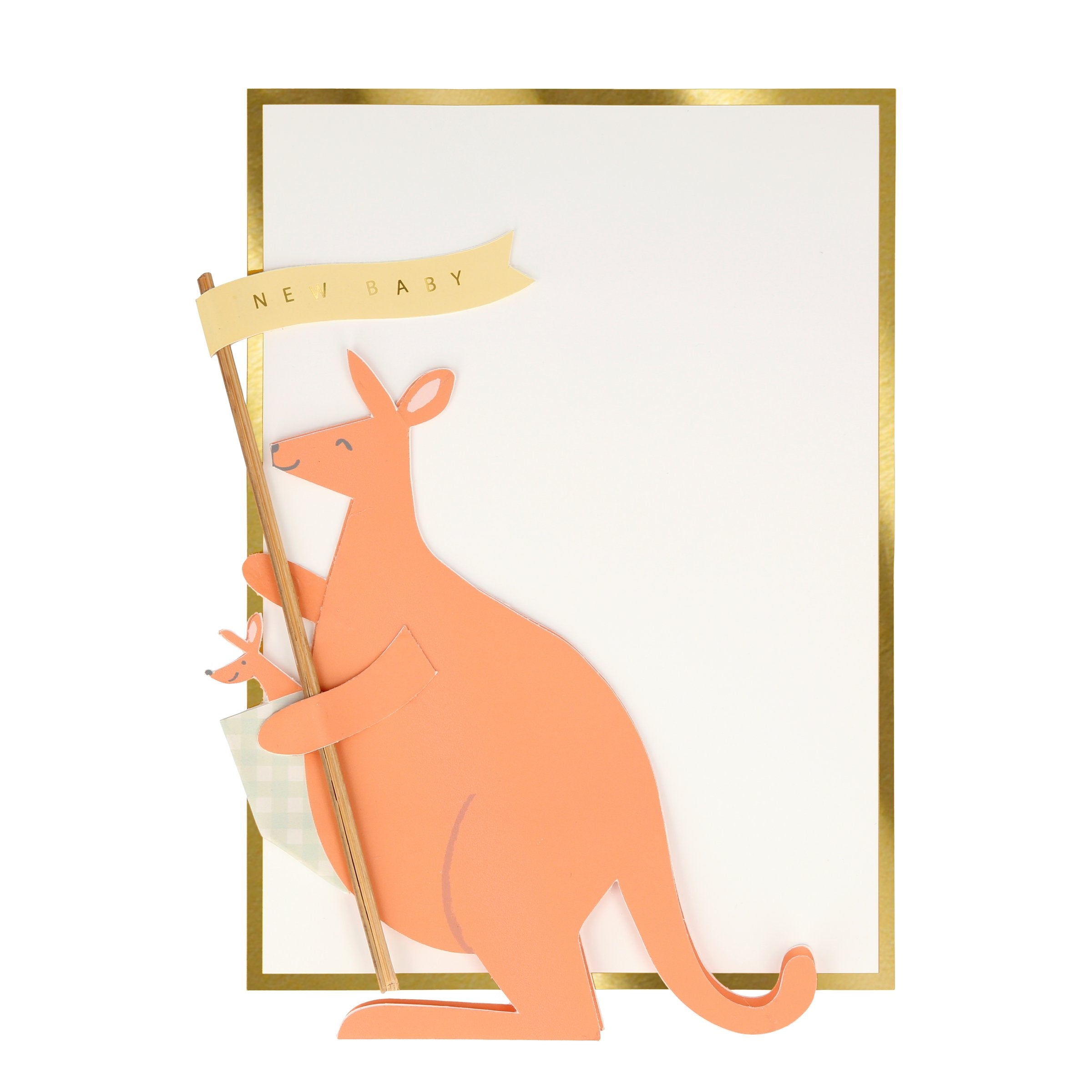 New Baby Kangaroo – Meri