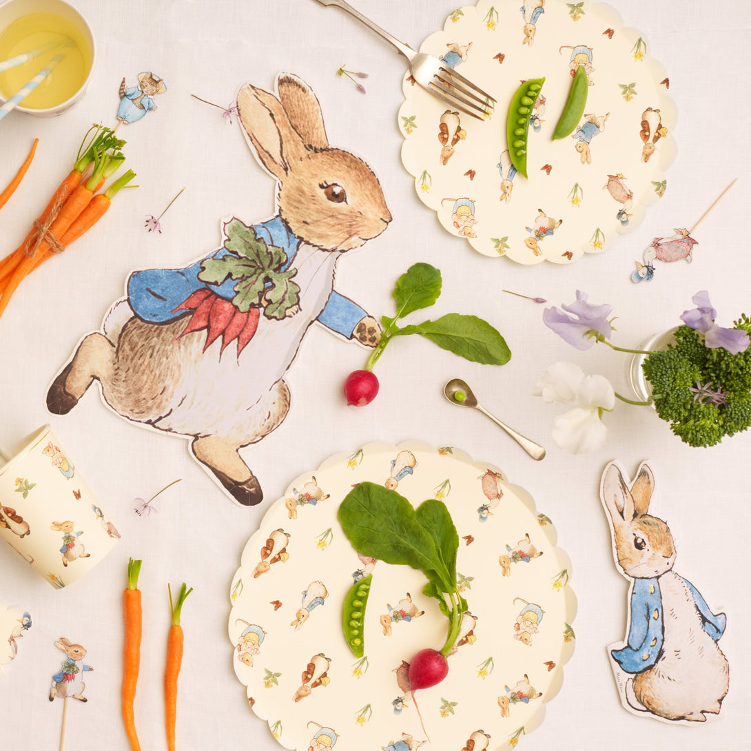 These plates feature illustrations of Peter Rabbit characters on the front, and a gingham design on the back.