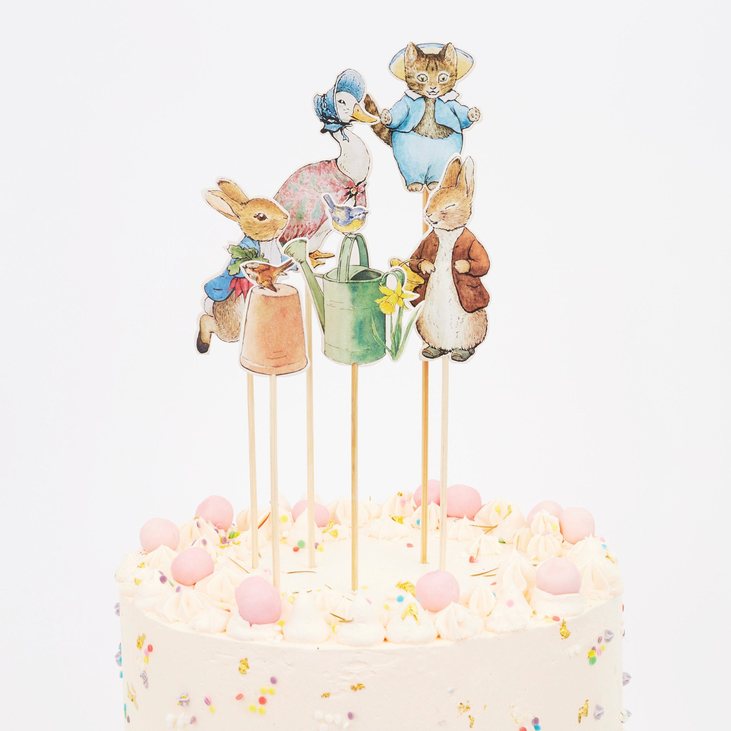 Peter Rabbit Cake – Cupcake Occasion
