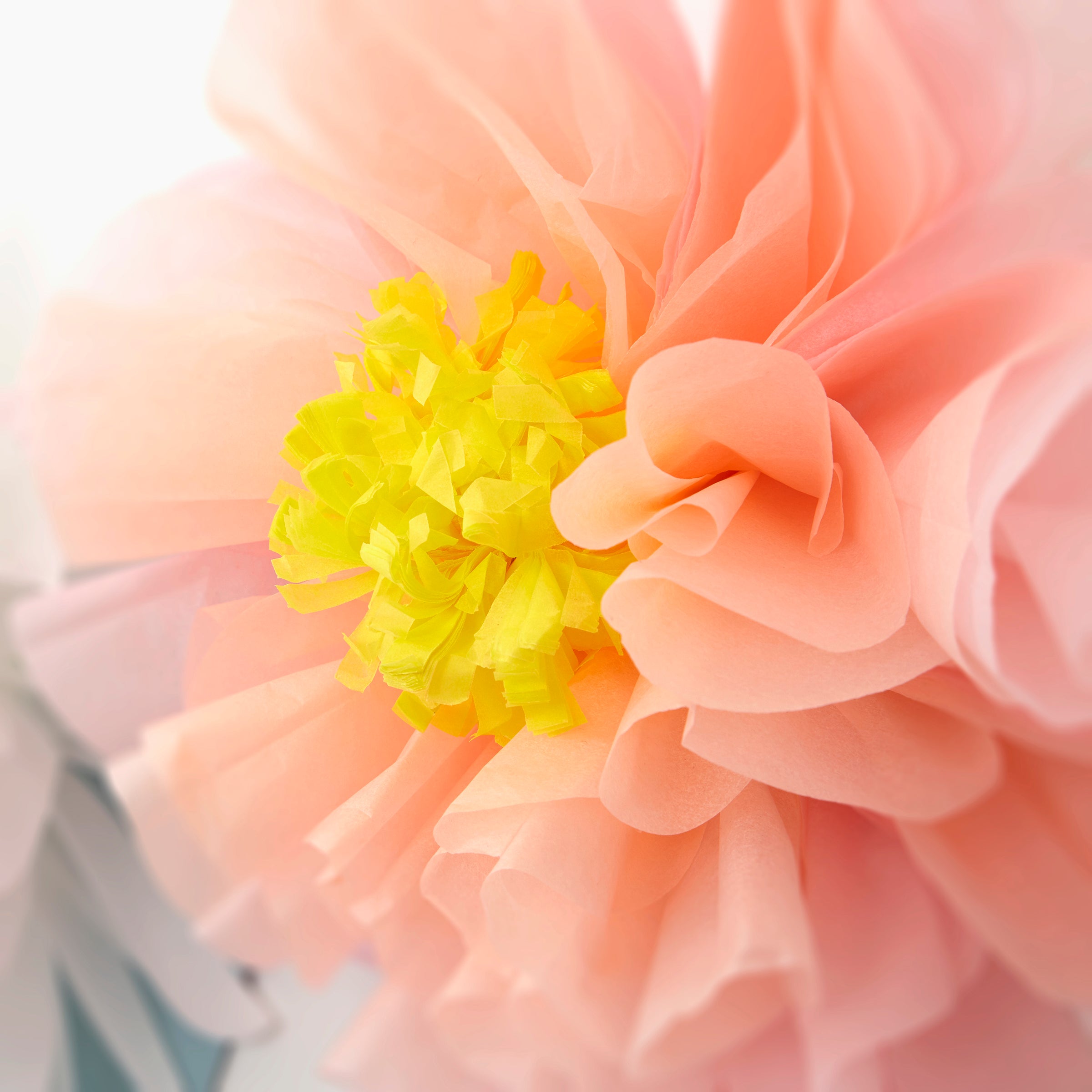 tissue paper flower garland