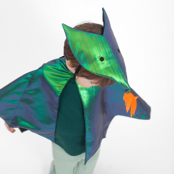 Dragon Costume Image4